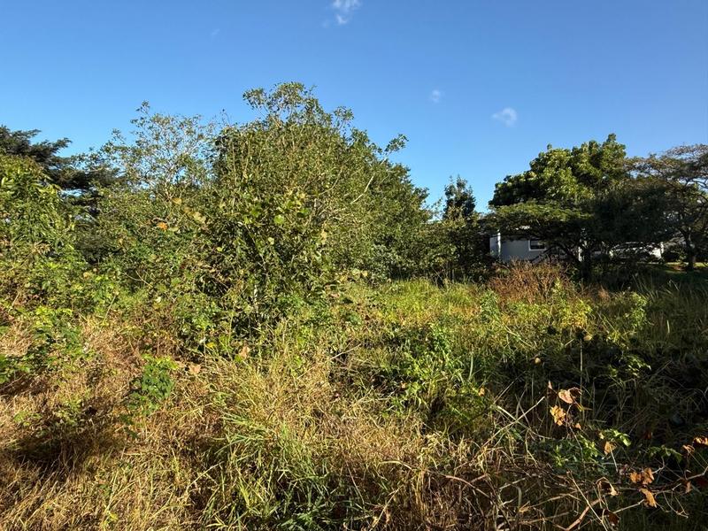 0 Bedroom Property for Sale in Zini River Estate KwaZulu-Natal