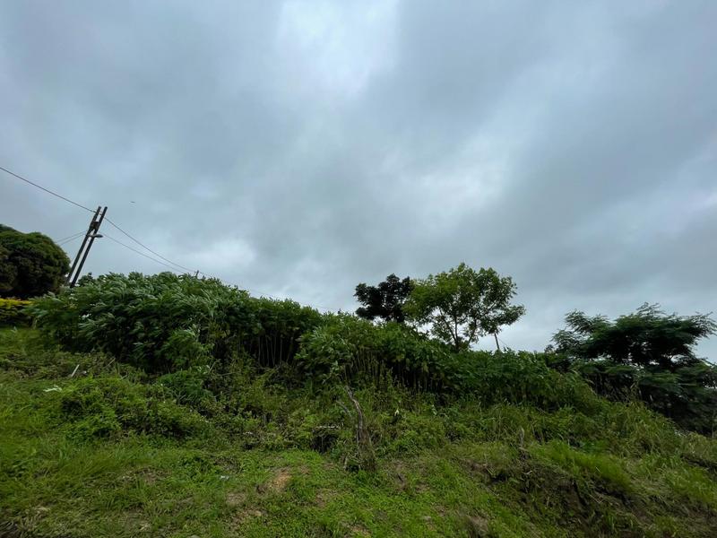 0 Bedroom Property for Sale in Illovo KwaZulu-Natal