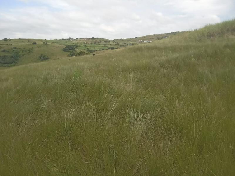 0 Bedroom Property for Sale in Umbumbulu KwaZulu-Natal