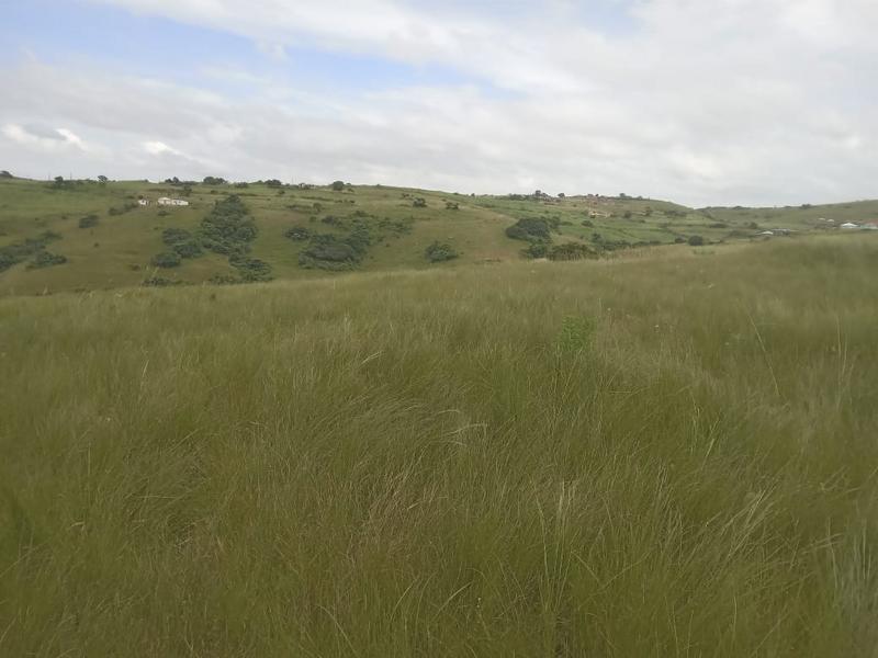 0 Bedroom Property for Sale in Umbumbulu KwaZulu-Natal