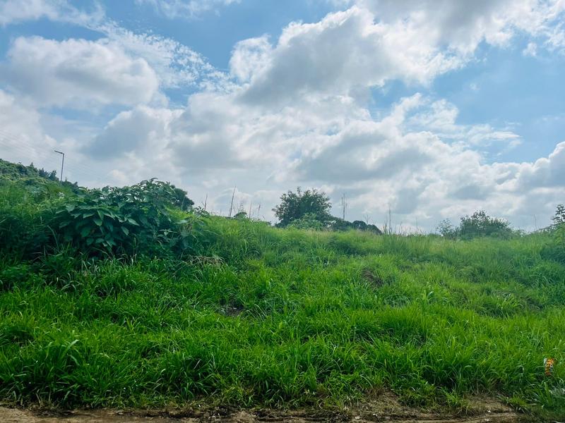 0 Bedroom Property for Sale in Edendale KwaZulu-Natal