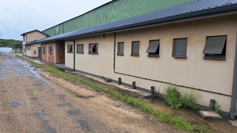 To Let commercial Property for Rent in Alton KwaZulu-Natal