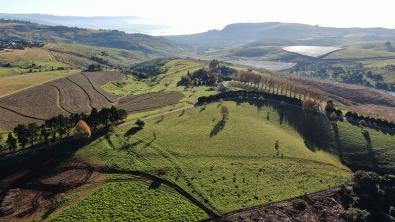 0 Bedroom Property for Sale in Mount Verde KwaZulu-Natal