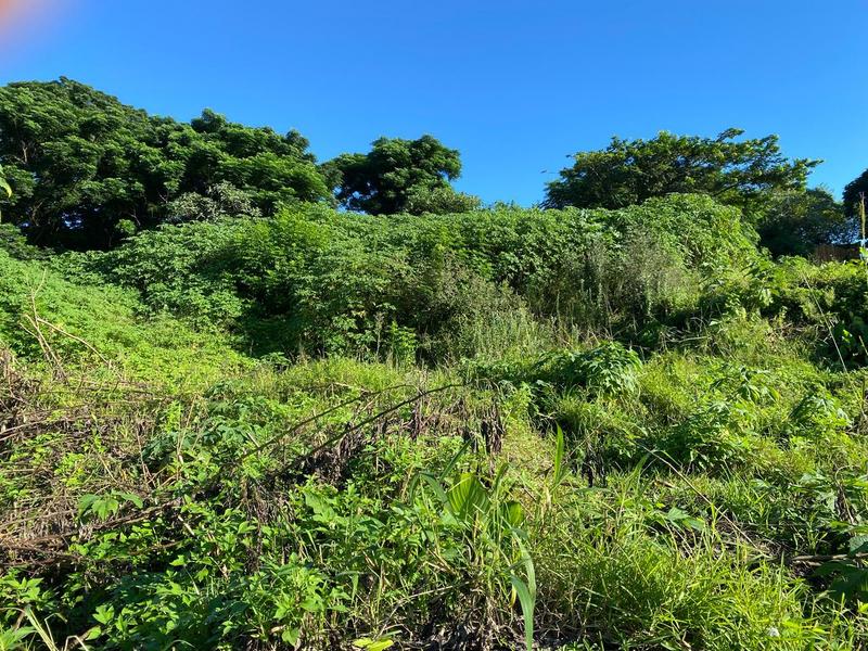 0 Bedroom Property for Sale in Clermont KwaZulu-Natal