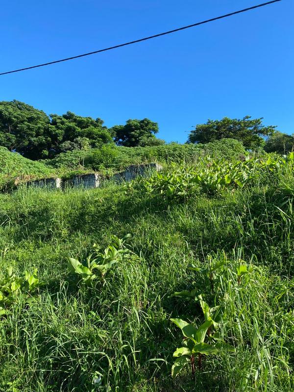 0 Bedroom Property for Sale in Clermont KwaZulu-Natal