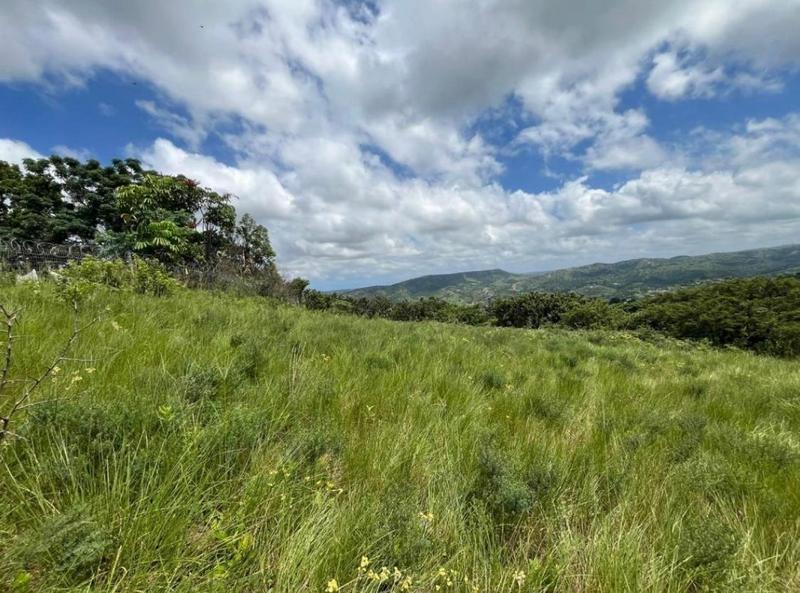 0 Bedroom Property for Sale in Regency Park KwaZulu-Natal