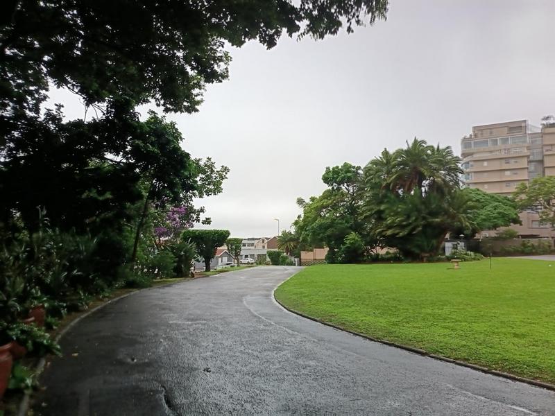 To Let 3 Bedroom Property for Rent in Musgrave KwaZulu-Natal