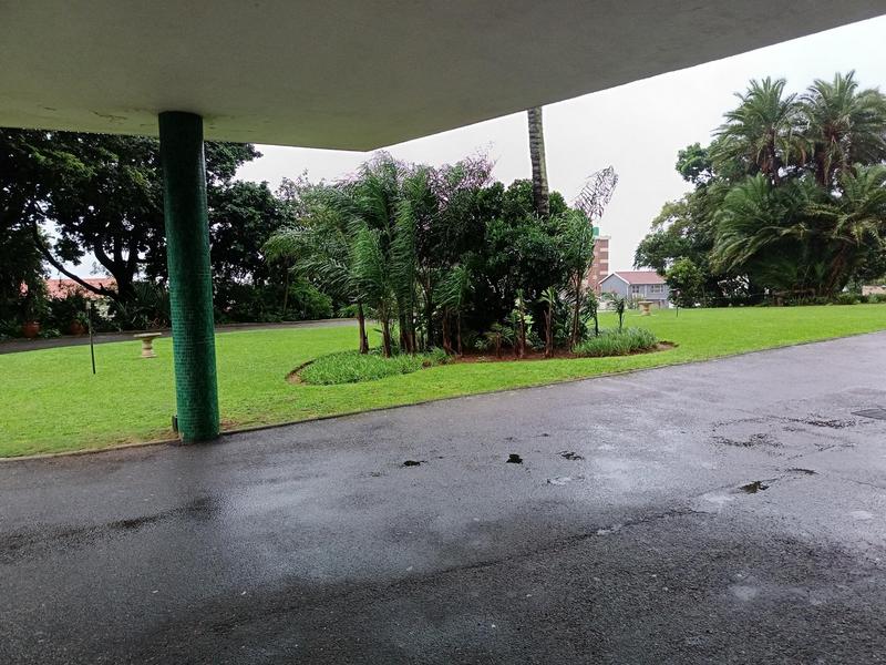 To Let 3 Bedroom Property for Rent in Musgrave KwaZulu-Natal