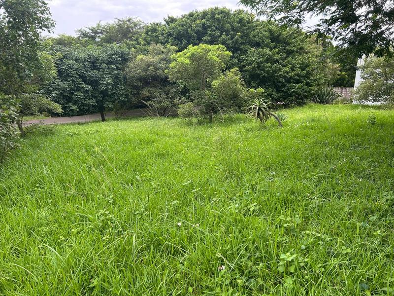 0 Bedroom Property for Sale in Zini River Estate KwaZulu-Natal