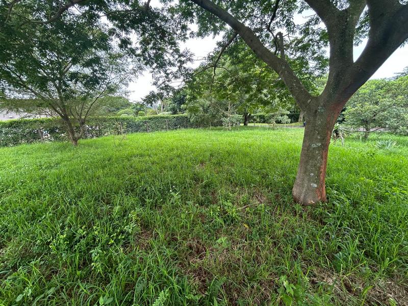 0 Bedroom Property for Sale in Zini River Estate KwaZulu-Natal