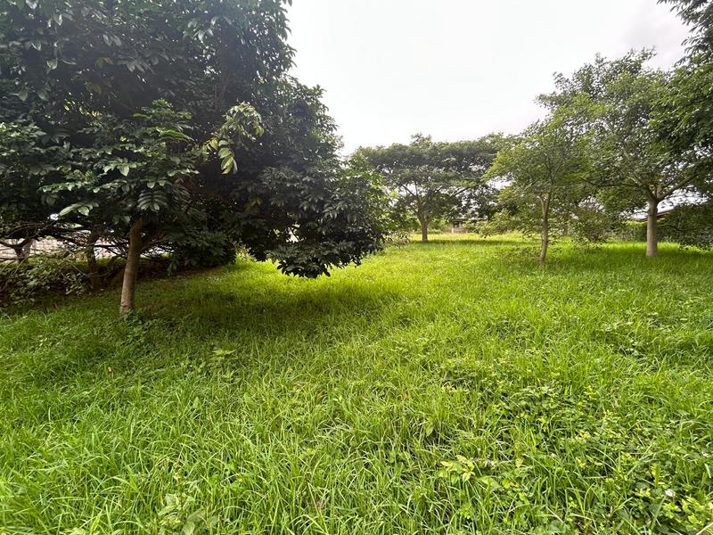 0 Bedroom Property for Sale in Zini River Estate KwaZulu-Natal