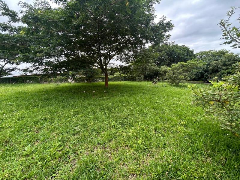 0 Bedroom Property for Sale in Zini River Estate KwaZulu-Natal