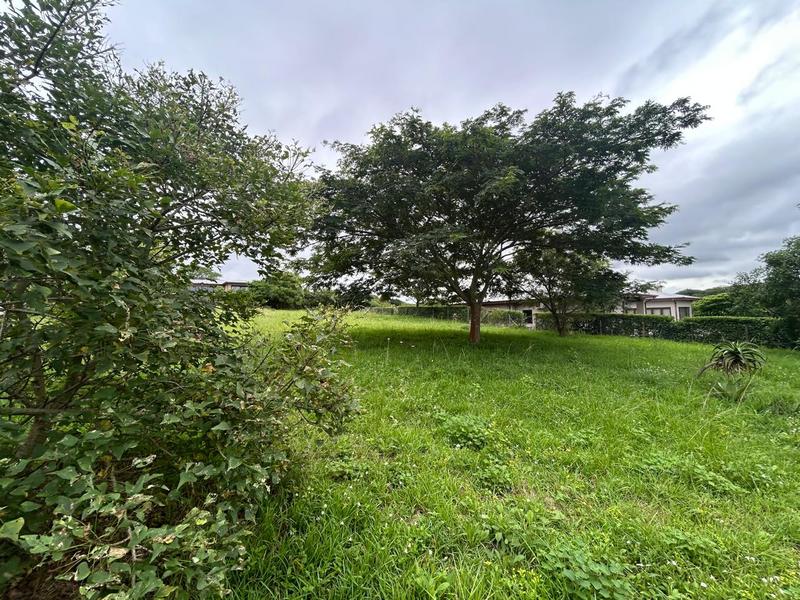 0 Bedroom Property for Sale in Zini River Estate KwaZulu-Natal