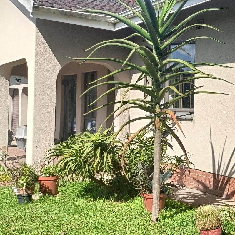 3 Bedroom Property for Sale in The Wolds KwaZulu-Natal