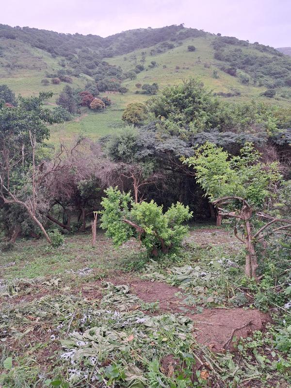 0 Bedroom Property for Sale in Umkomaas KwaZulu-Natal