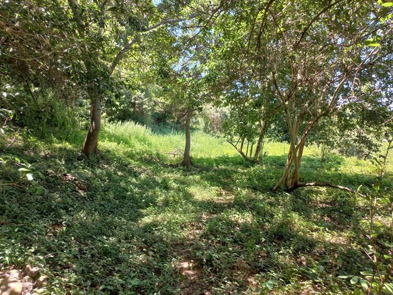 0 Bedroom Property for Sale in Umkomaas KwaZulu-Natal