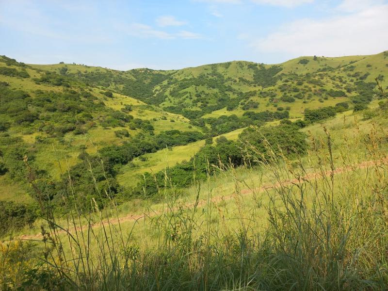 0 Bedroom Property for Sale in Umkomaas KwaZulu-Natal