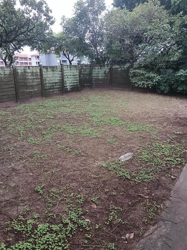To Let 3 Bedroom Property for Rent in Arboretum KwaZulu-Natal