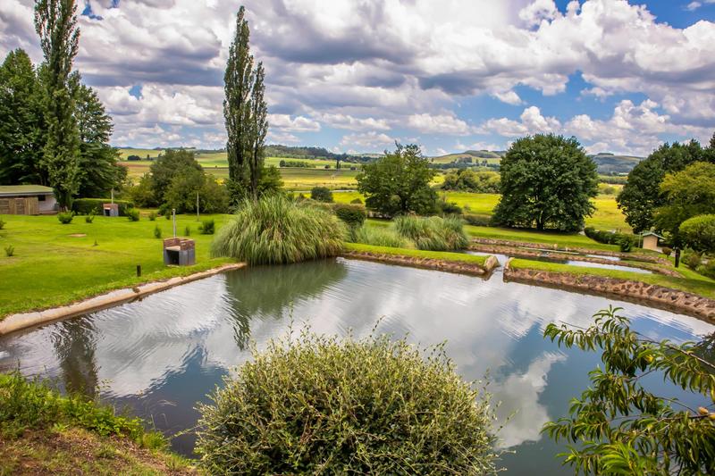 8 Bedroom Property for Sale in Underberg KwaZulu-Natal