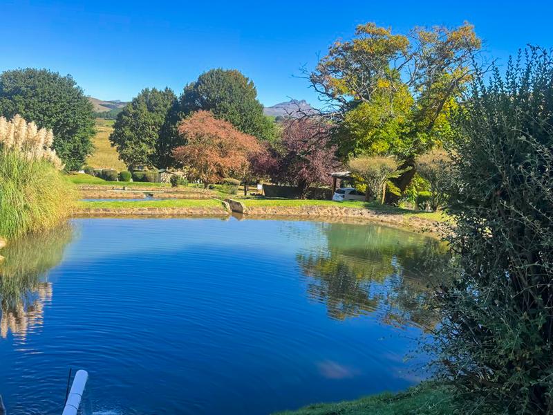8 Bedroom Property for Sale in Underberg KwaZulu-Natal