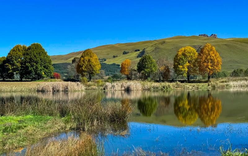 Commercial Property for Sale in Underberg KwaZulu-Natal