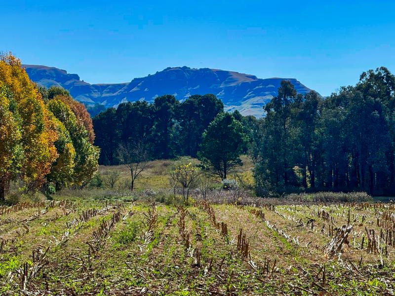Commercial Property for Sale in Underberg KwaZulu-Natal