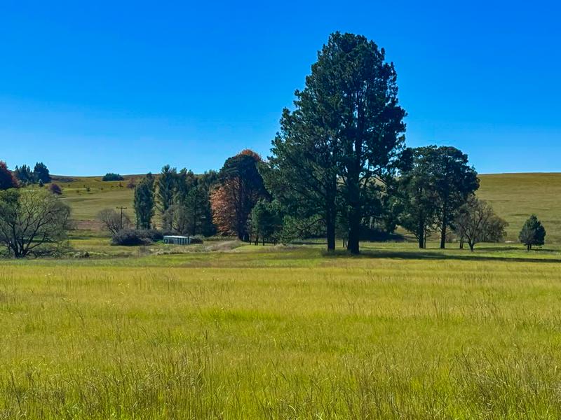 Commercial Property for Sale in Underberg KwaZulu-Natal