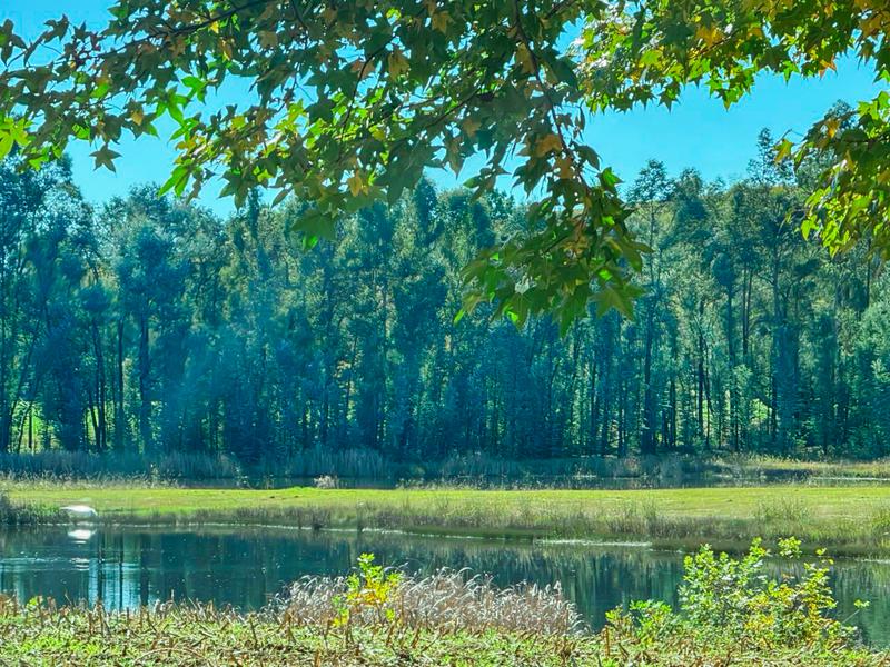 Commercial Property for Sale in Underberg KwaZulu-Natal