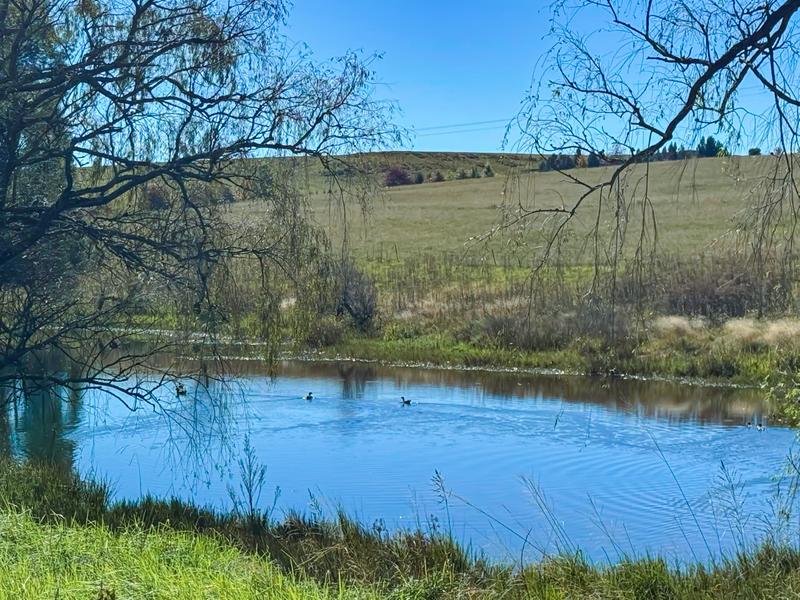 Commercial Property for Sale in Underberg KwaZulu-Natal