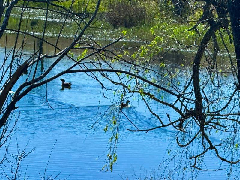 Commercial Property for Sale in Underberg KwaZulu-Natal