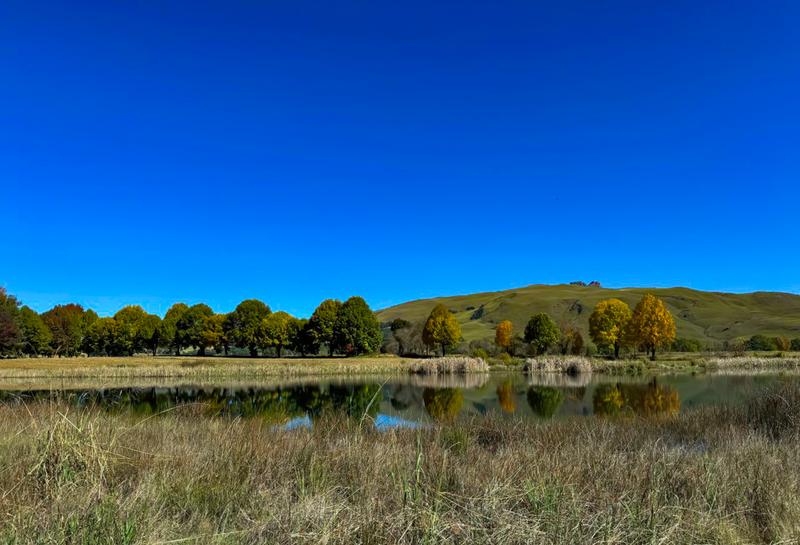Commercial Property for Sale in Underberg KwaZulu-Natal