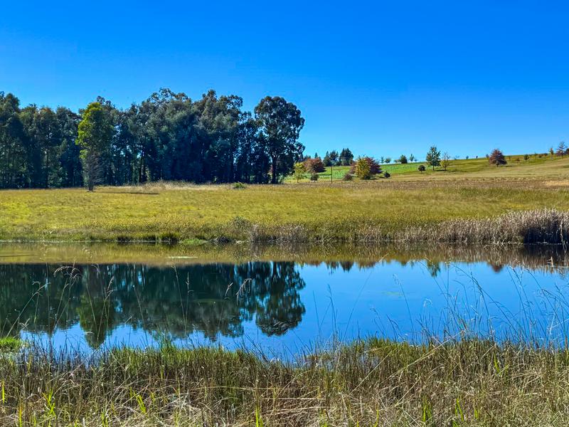 Commercial Property for Sale in Underberg KwaZulu-Natal