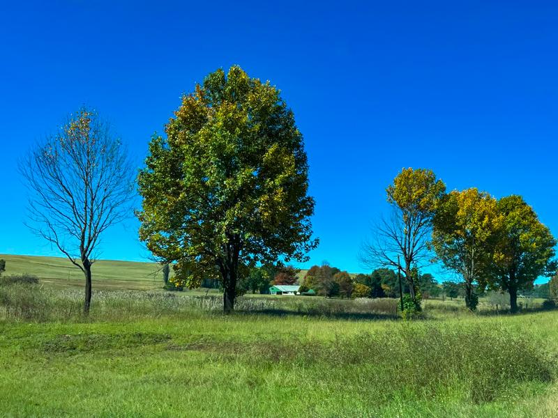 Commercial Property for Sale in Underberg KwaZulu-Natal