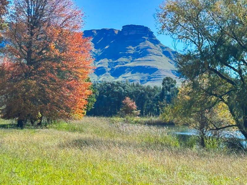 Commercial Property for Sale in Underberg KwaZulu-Natal