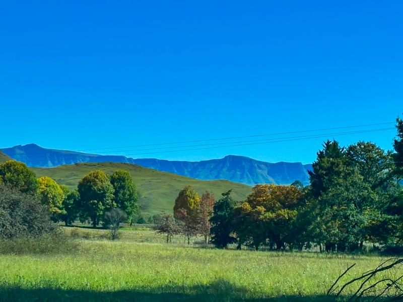 Commercial Property for Sale in Underberg KwaZulu-Natal