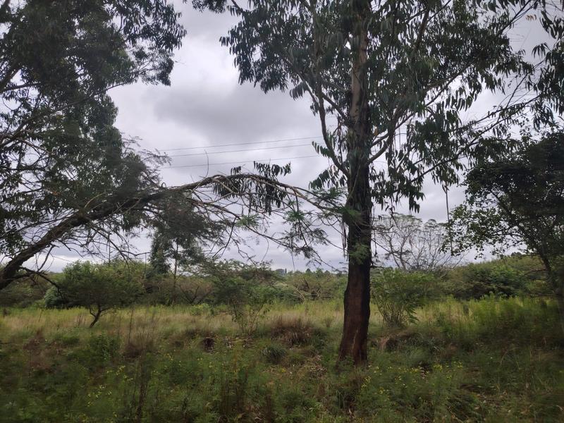 0 Bedroom Property for Sale in Cliffdale KwaZulu-Natal