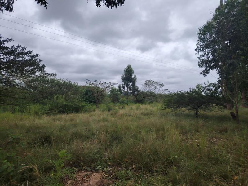 0 Bedroom Property for Sale in Cliffdale KwaZulu-Natal