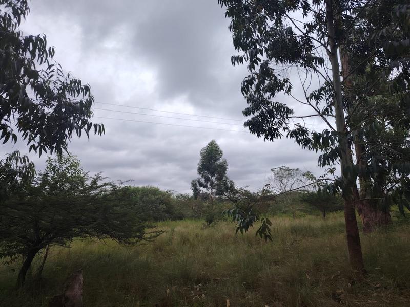 0 Bedroom Property for Sale in Cliffdale KwaZulu-Natal
