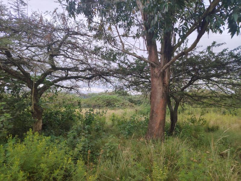 0 Bedroom Property for Sale in Cliffdale KwaZulu-Natal