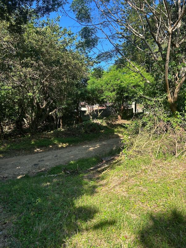 4 Bedroom Property for Sale in Trafalgar KwaZulu-Natal