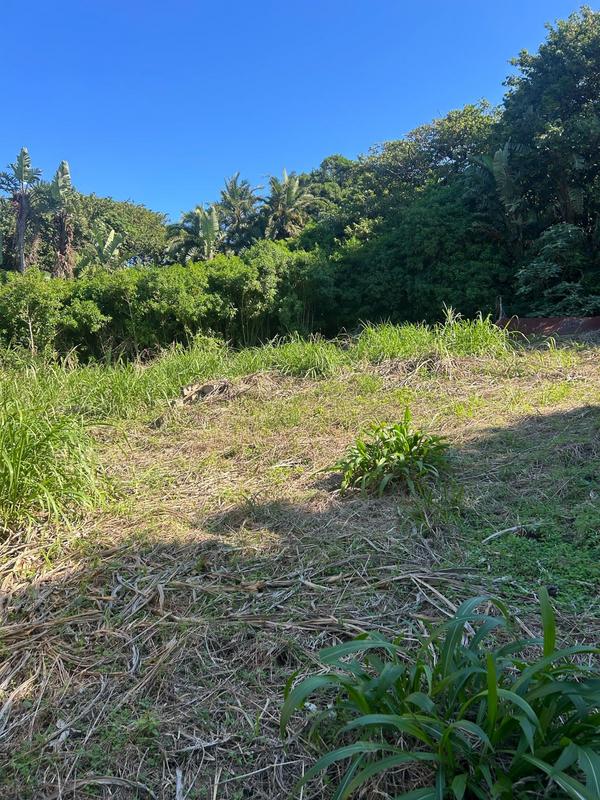 4 Bedroom Property for Sale in Trafalgar KwaZulu-Natal