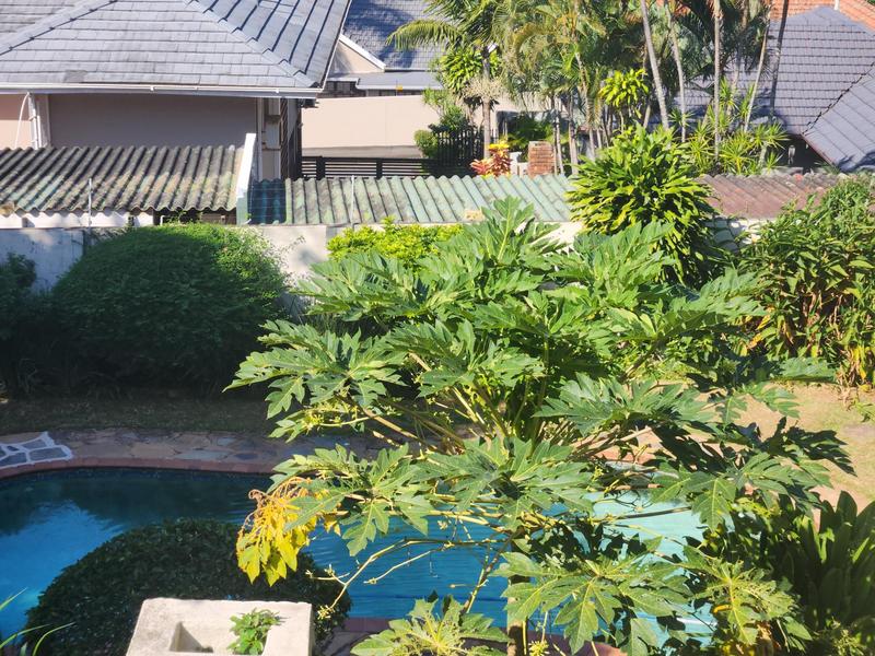 To Let 2 Bedroom Property for Rent in Musgrave KwaZulu-Natal