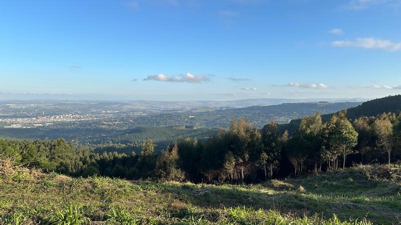 0 Bedroom Property for Sale in Mount Verde KwaZulu-Natal