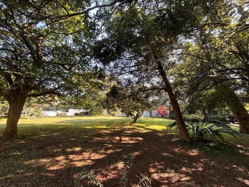 4 Bedroom Property for Sale in Mtunzini KwaZulu-Natal