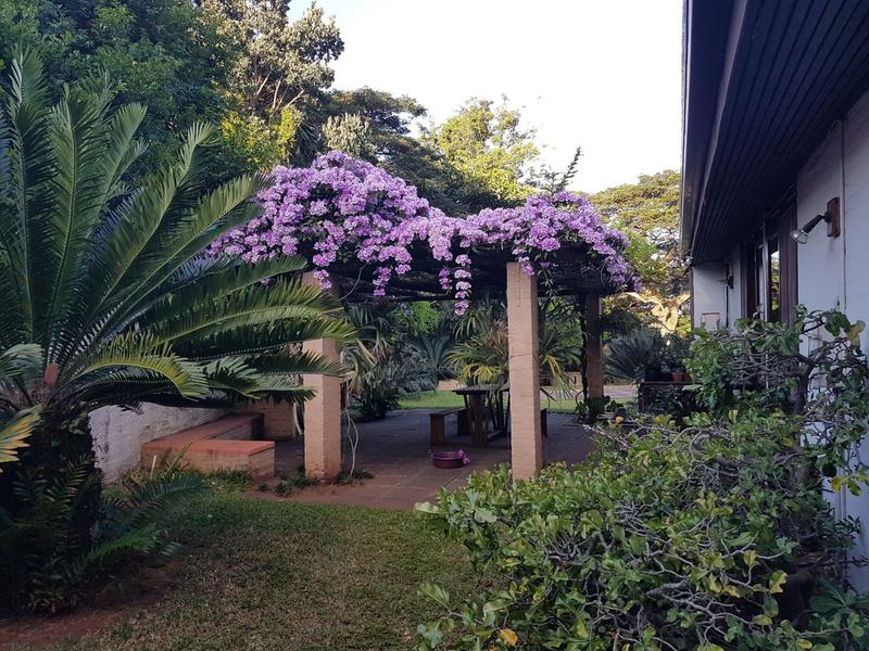 4 Bedroom Property for Sale in Mtunzini KwaZulu-Natal