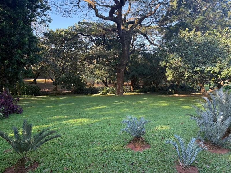 4 Bedroom Property for Sale in Mtunzini KwaZulu-Natal