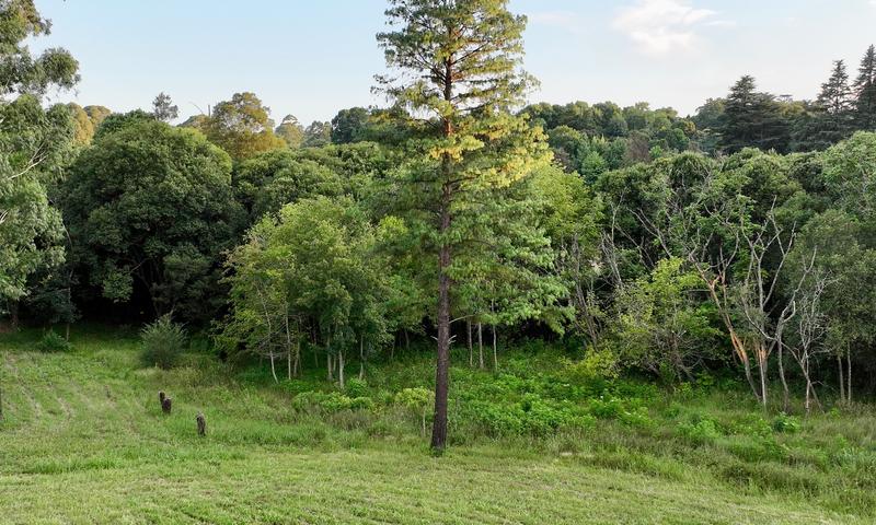 3 Bedroom Property for Sale in Hilton Central KwaZulu-Natal