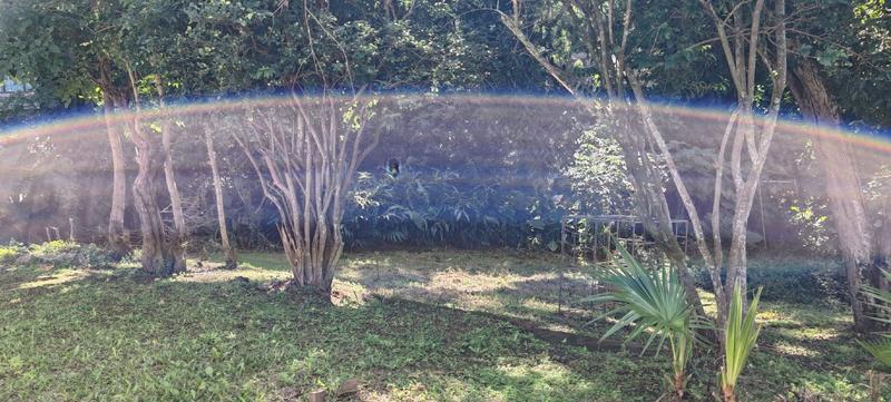 To Let 3 Bedroom Property for Rent in Berea West KwaZulu-Natal