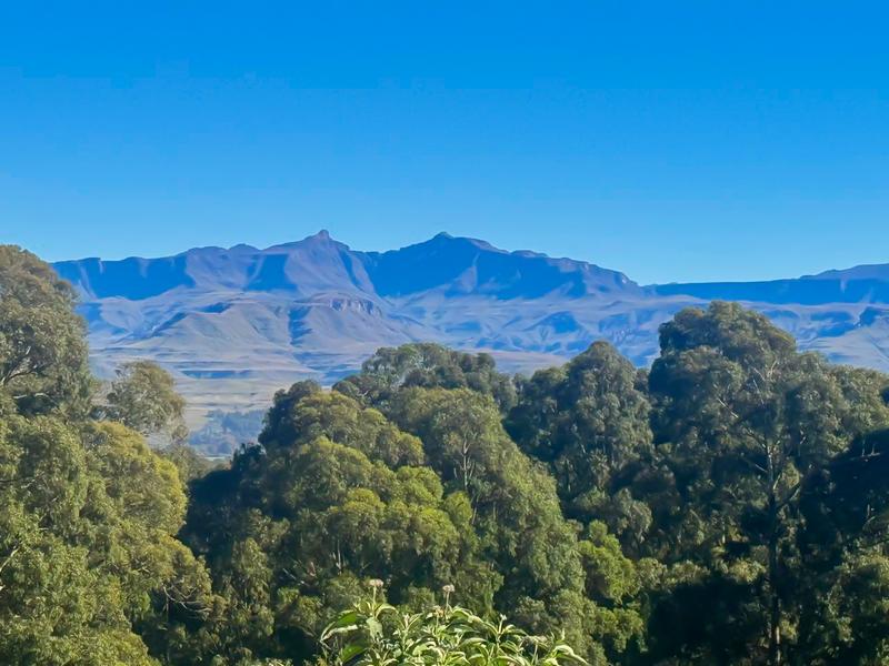 0 Bedroom Property for Sale in Underberg KwaZulu-Natal