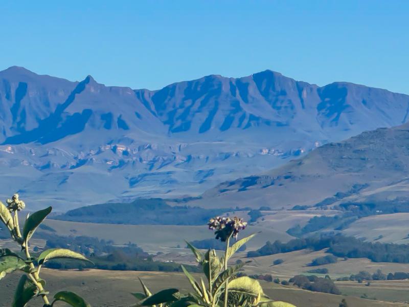 0 Bedroom Property for Sale in Underberg KwaZulu-Natal